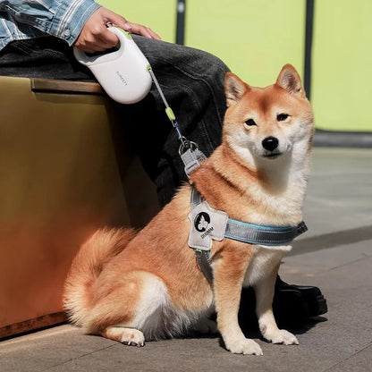 Laisse rétractable automatique à poignée ergonomique