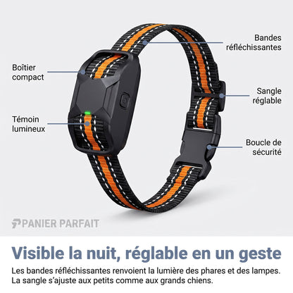 Collier de dressage rechargeable étanche 1000 m