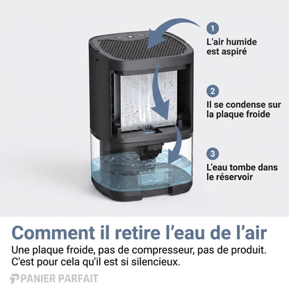 Déshumidificateur silencieux 2 en 1 pour air intérieur