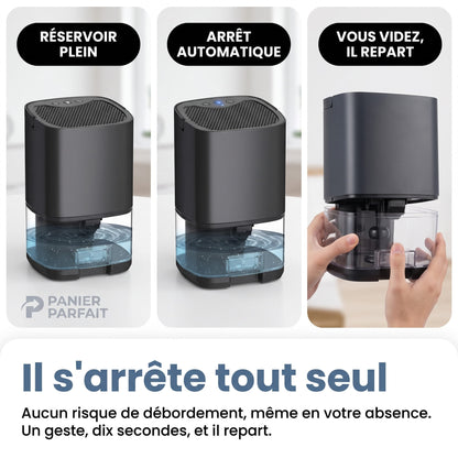 Déshumidificateur silencieux 2 en 1 pour air intérieur