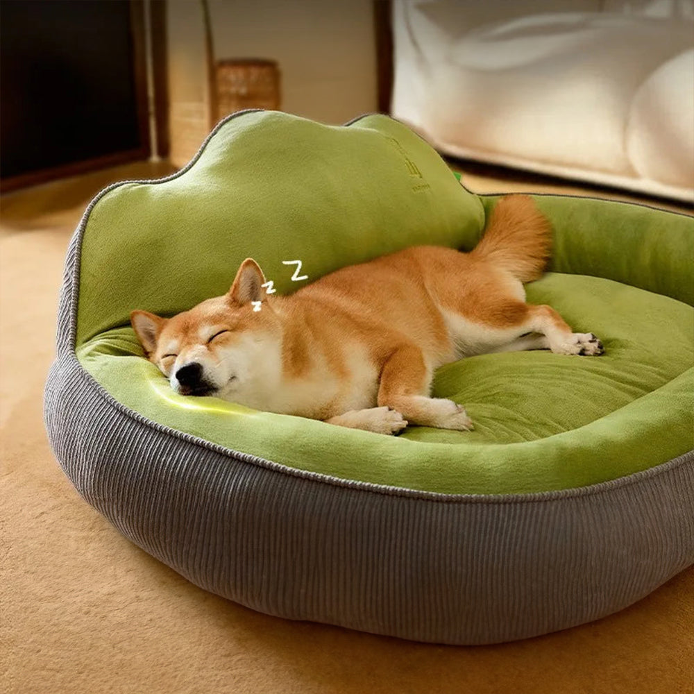 Coussin moelleux confortable pour chat