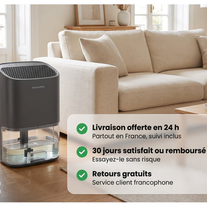 Déshumidificateur silencieux 2 en 1 pour air intérieur