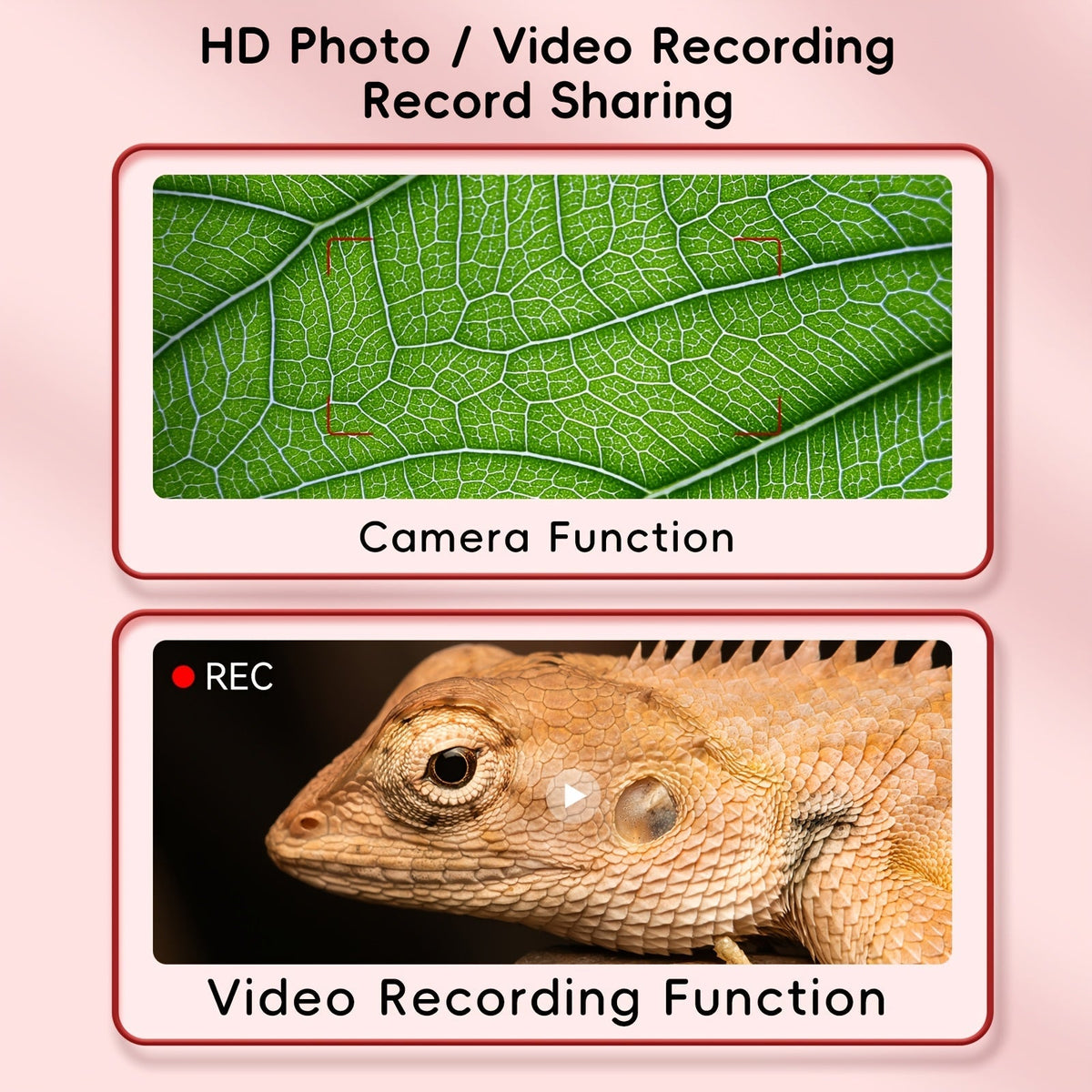 Microscope numérique à grossissement 1000X avec caméra 2 MP et écran