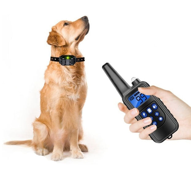 Collier anti-aboiement étanche rechargeable pour chien