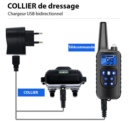 Collier anti-aboiement étanche rechargeable pour chien