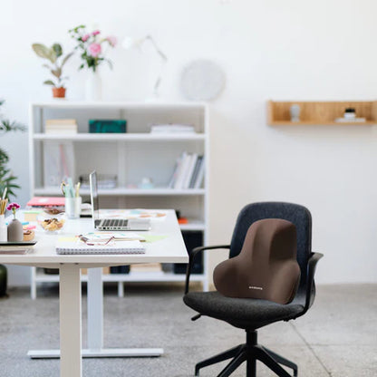 Ergonomisches Lendenkissen aus Memory-Schaum