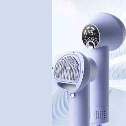 Sèche-cheveux silencieux à technologie avancée