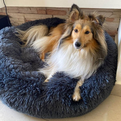 Kuscheliges Hundekissen – waschbares Hundebett